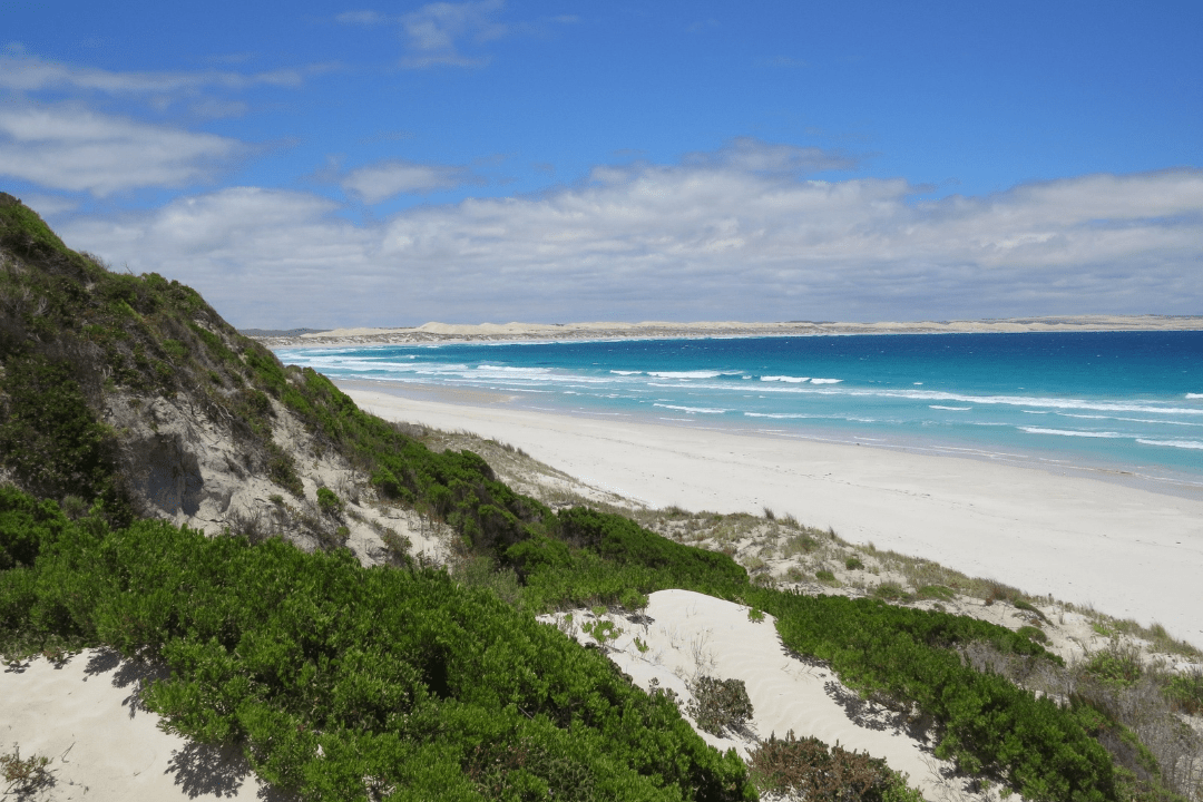 Coffin Bay & Lincoln National Parks - Hema Maps
