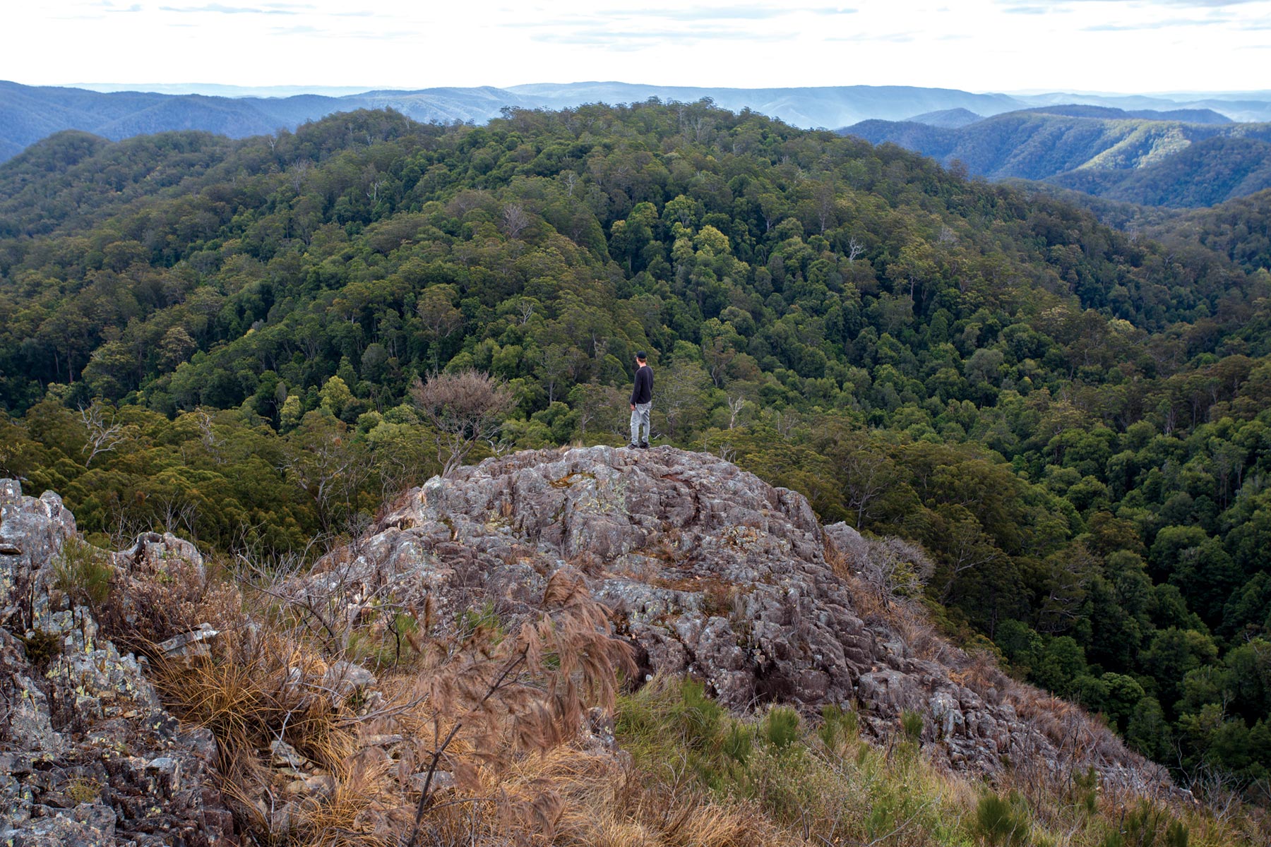 Exploring the Coffs Harbour Hinterland - Hema Maps Online Shop