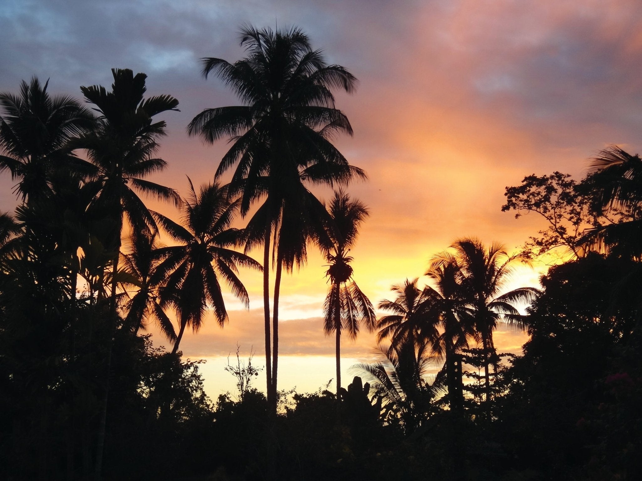 Hema’s Guide to Surviving the Tropics - Hema Maps Online Shop