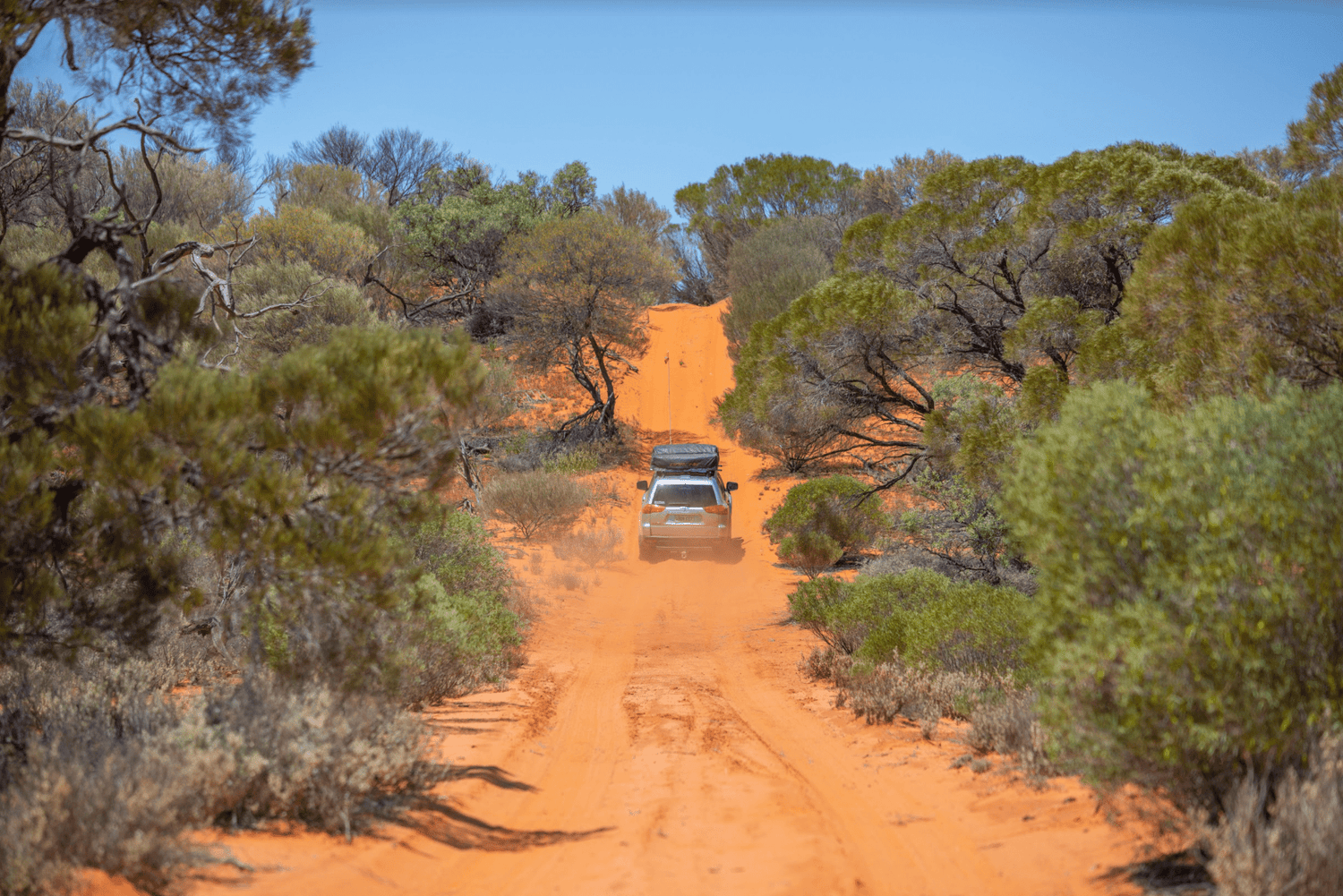 Let the Goog Times Roll - Googs Track, SA - Hema Maps Online Shop
