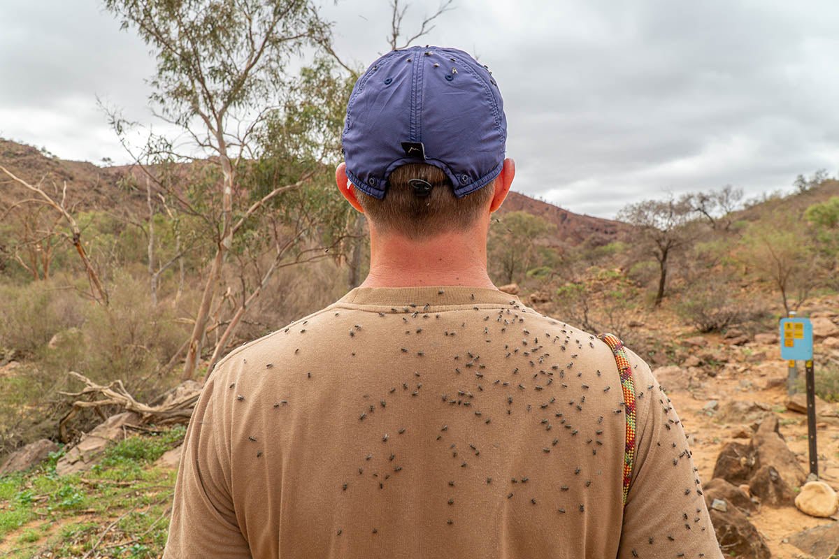 Outback Travel; The Little Things - Hema Maps Online Shop