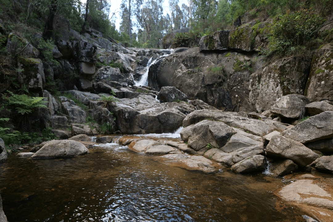 Six Mile Creek NSW: A Peaceful Bush Camping Escape - Hema Maps