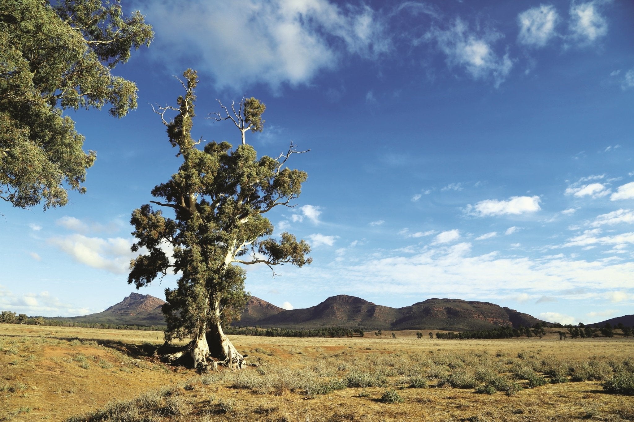 South Australia Maps, Atlases and Guides - Hema Maps Online Shop