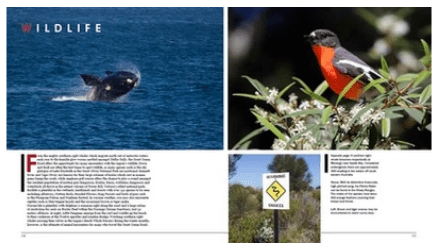 Magnificent Great Ocean Road - 03. Other Guidebooks - Hema Maps Online Shop
