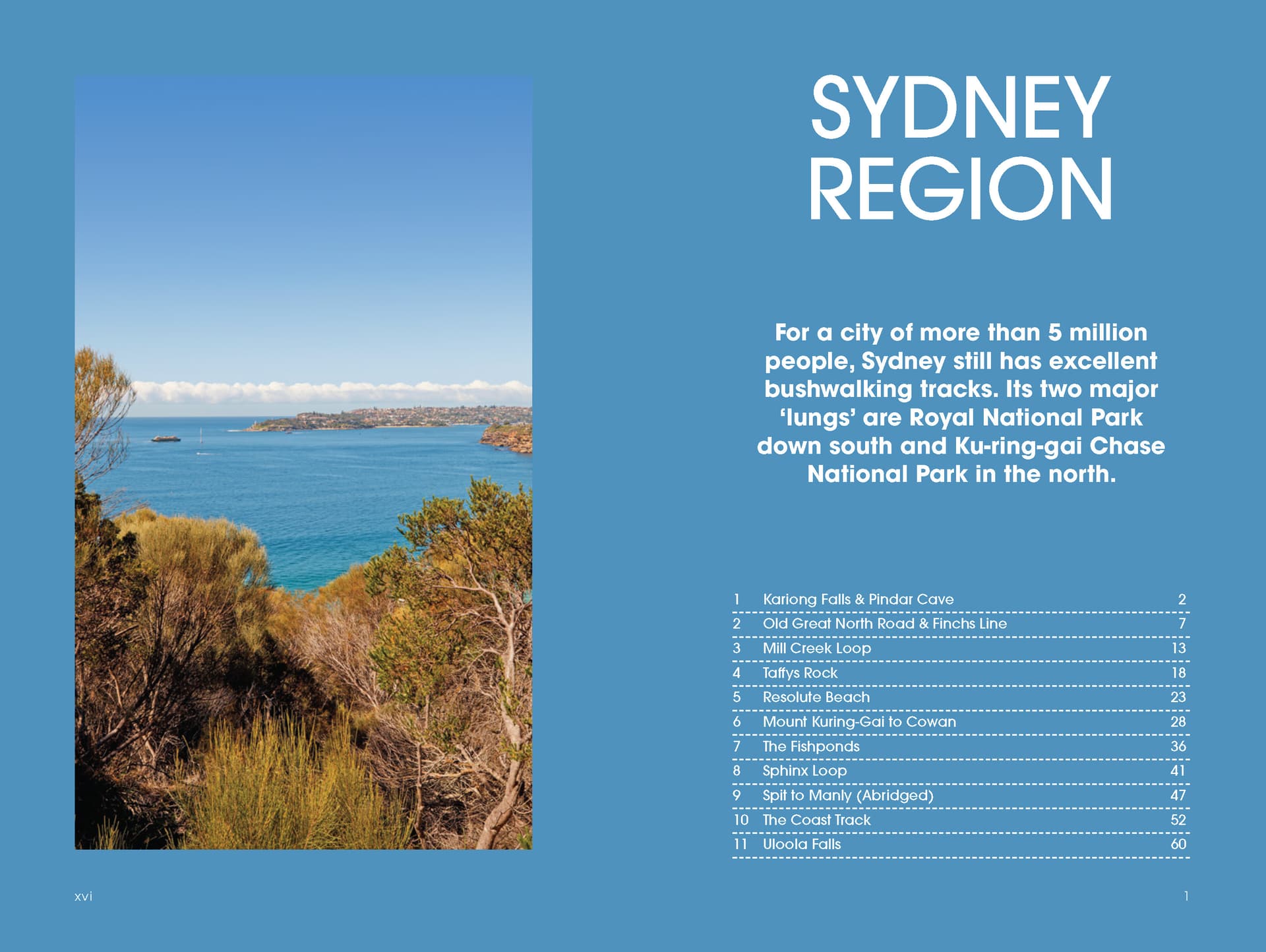 Top Walks in New South Wales 2nd edition - 03. Other Guidebooks - Hema Maps Online Shop