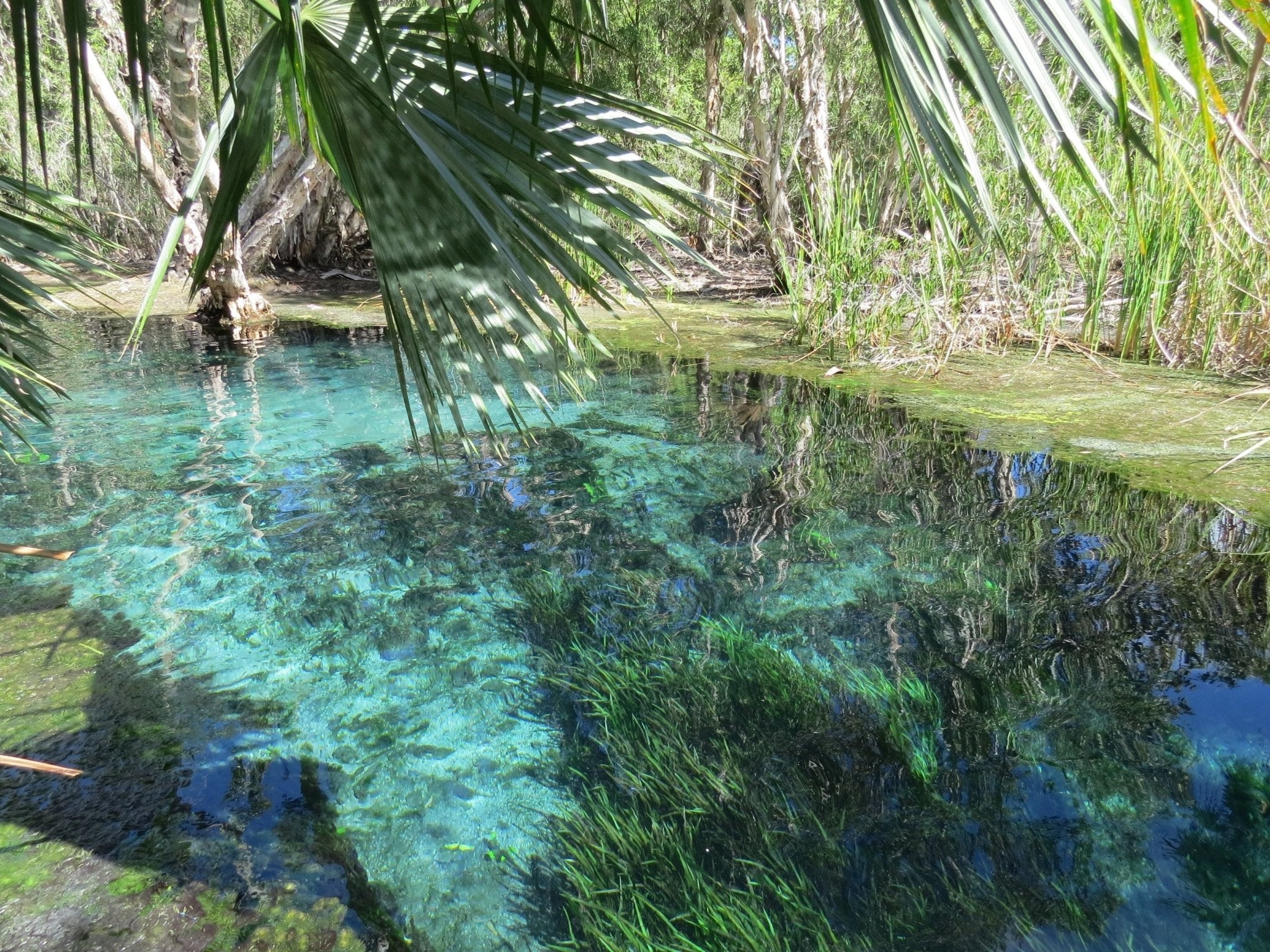 Australia’s best hot springs, thermal pools and artesian bores — Where warm water meets the bitumen and beyond: Part three - Hema Maps Online Shop