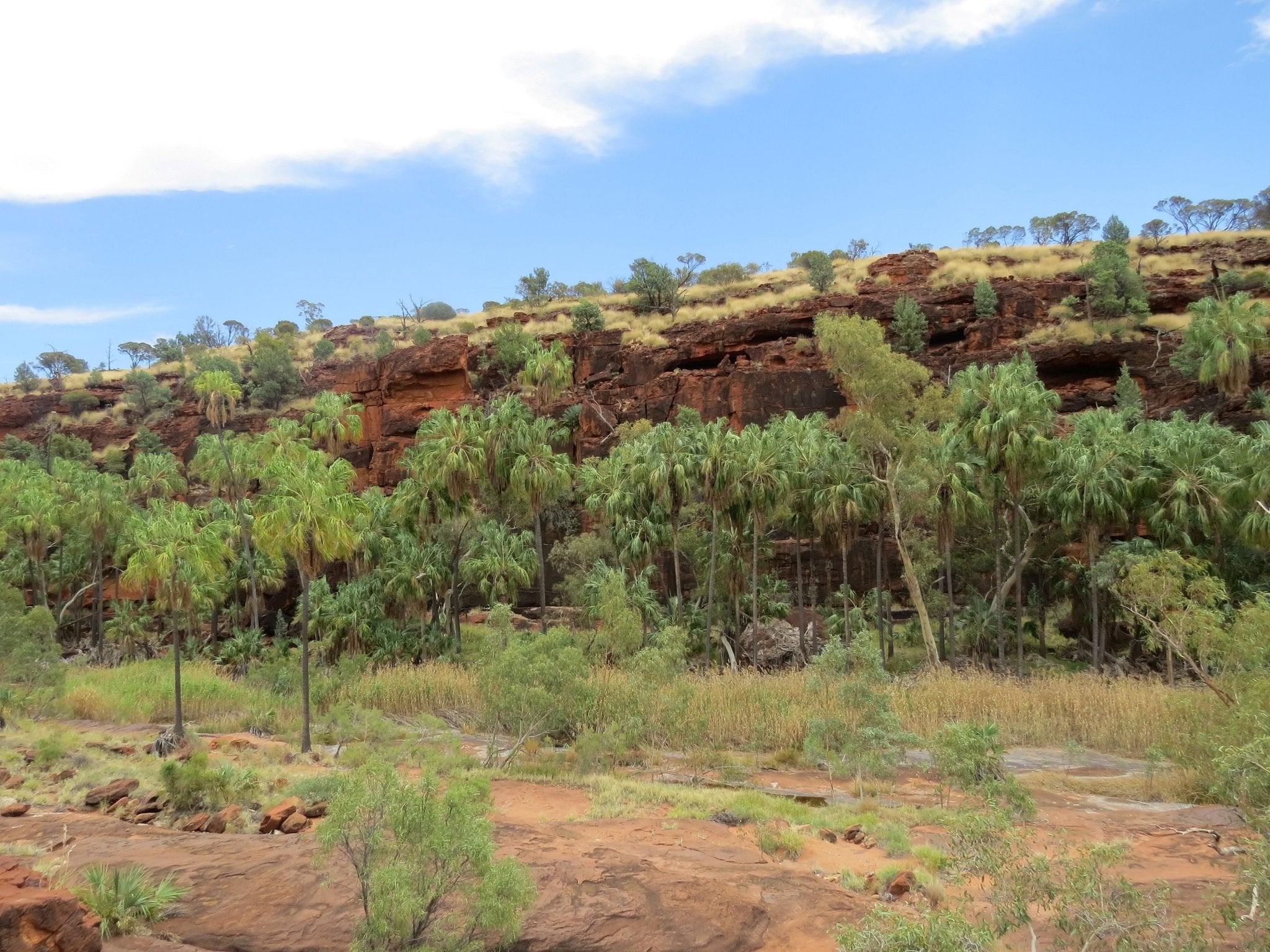 Camping within coo-ee (200km) of Alice Springs - Hema Maps Online Shop