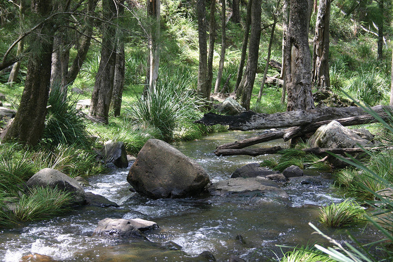 The beautiful scenery on the Condamine River Road