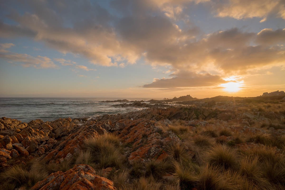 Driving Tassie Tracks with Lyndon Kettle - Hema Maps Online Shop