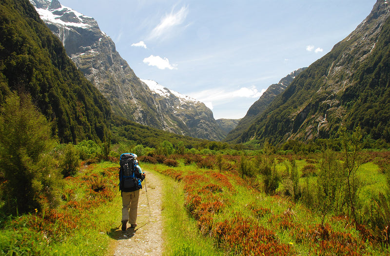 How to Prepare for New Zealands Great Walks