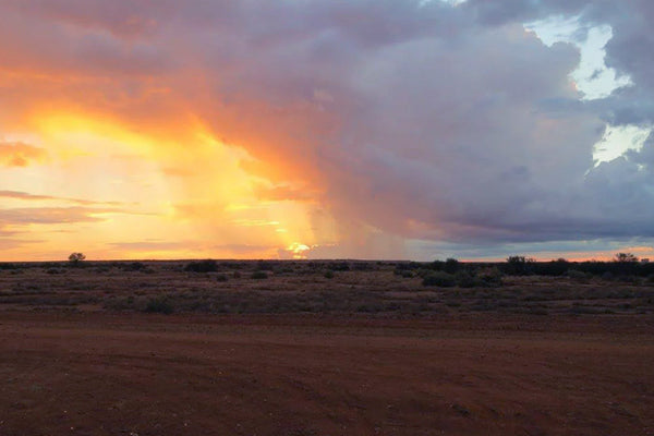 Enjoying Australia’s outdoors despite bad weather