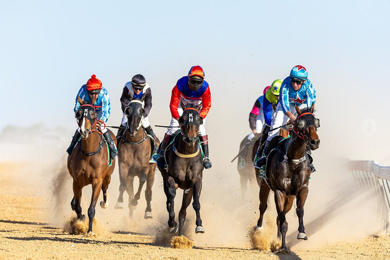 Explore the Birdsville Races: Tickets on sale now - Hema Maps Online Shop