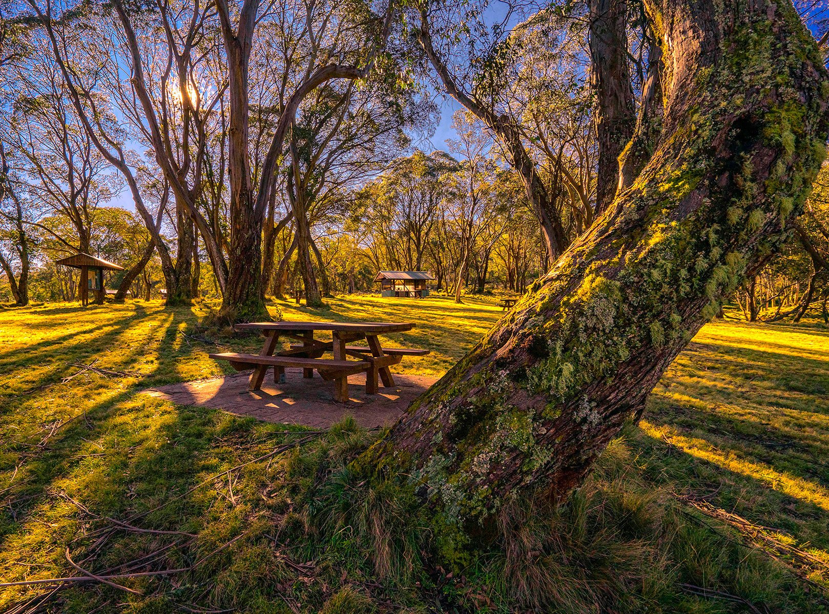 Exploring Barrington Tops National Park, NSW - Hema Maps Online Shop