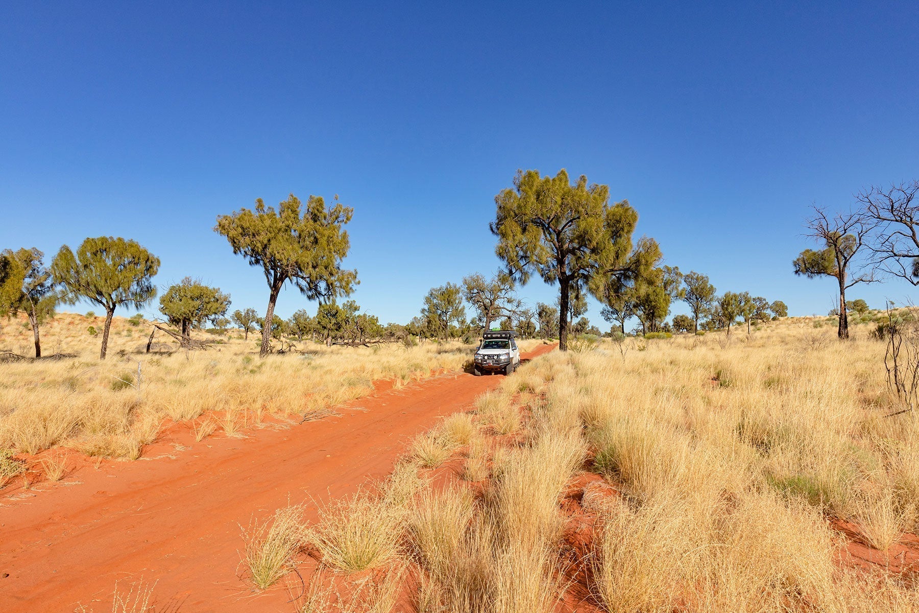 Exploring the Iconic Sandy Blight Junction Road - Hema Maps