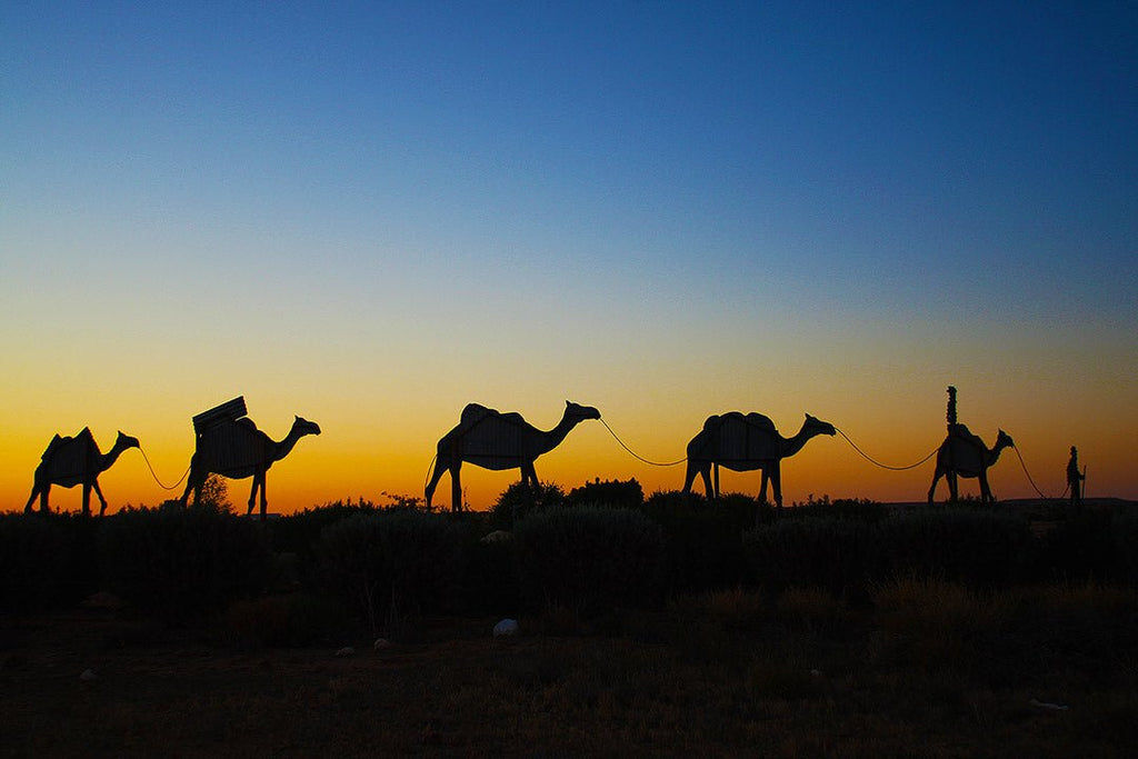 Get on board the Desert Champions Way: Outback Camel Trail - Hema Maps Online Shop