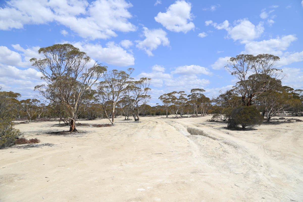 Golden Way, the Holland Track in WA - Hema Maps