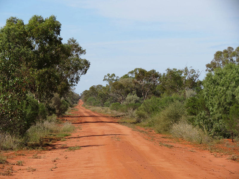 The wide open roads of the Darling River Run