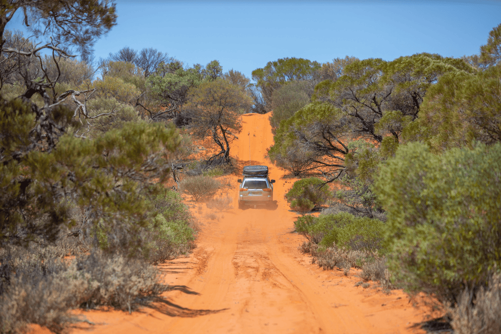 Let the Goog Times Roll - Googs Track, SA – Hema Maps Online Shop