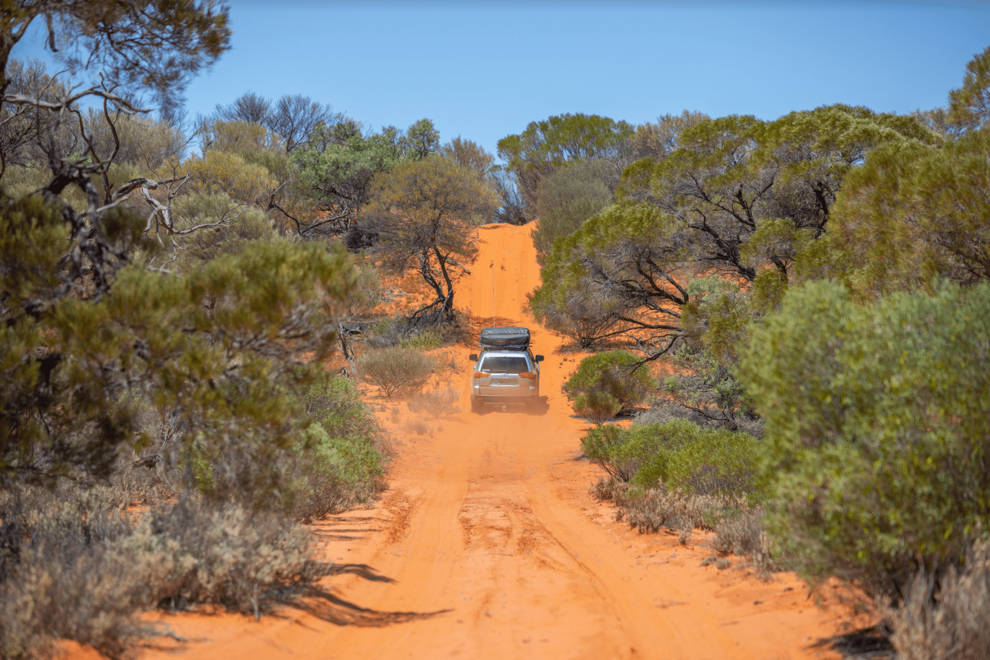 Let the Goog Times Roll - Googs Track, SA - Hema Maps Online Shop