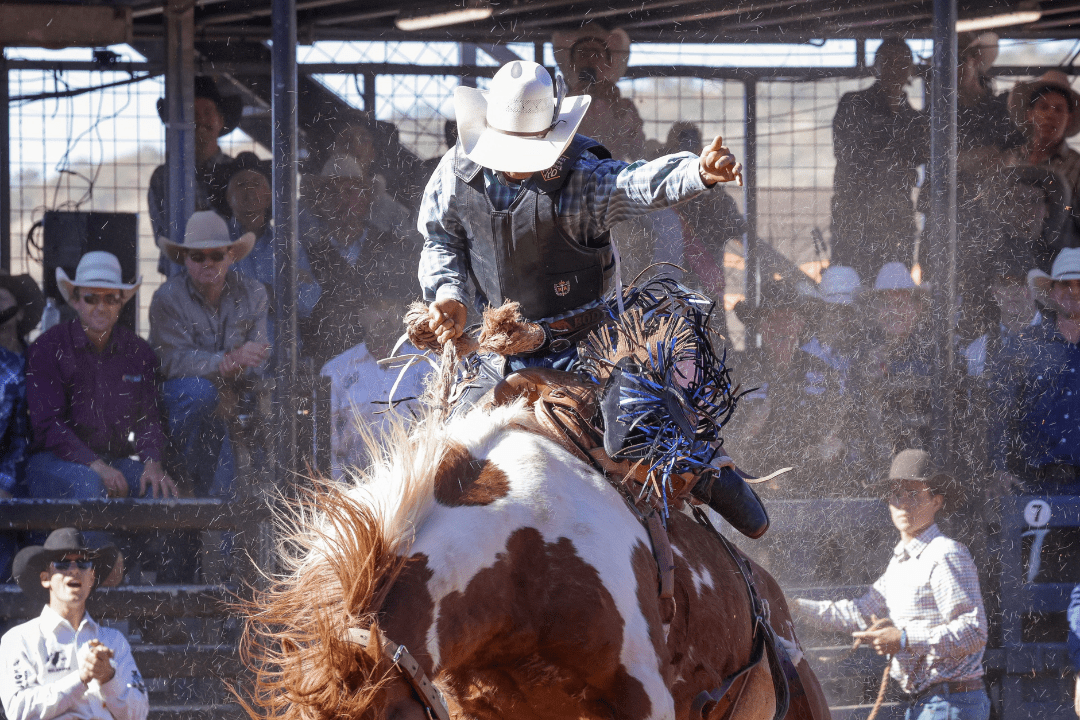 Mt Isa Rodeo - Hema Maps