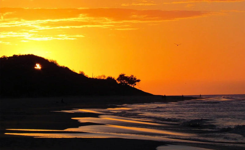 North Stradbroke Island (Minjerribah) — a sand island escape - Hema Maps Online Shop
