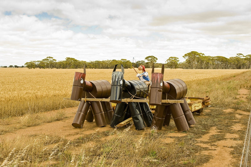Outback sculpture trails: part two - Hema Maps Online Shop