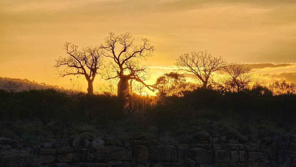 Stories Starts Serenity sunset (Credit: Kimberley Dreaming)
