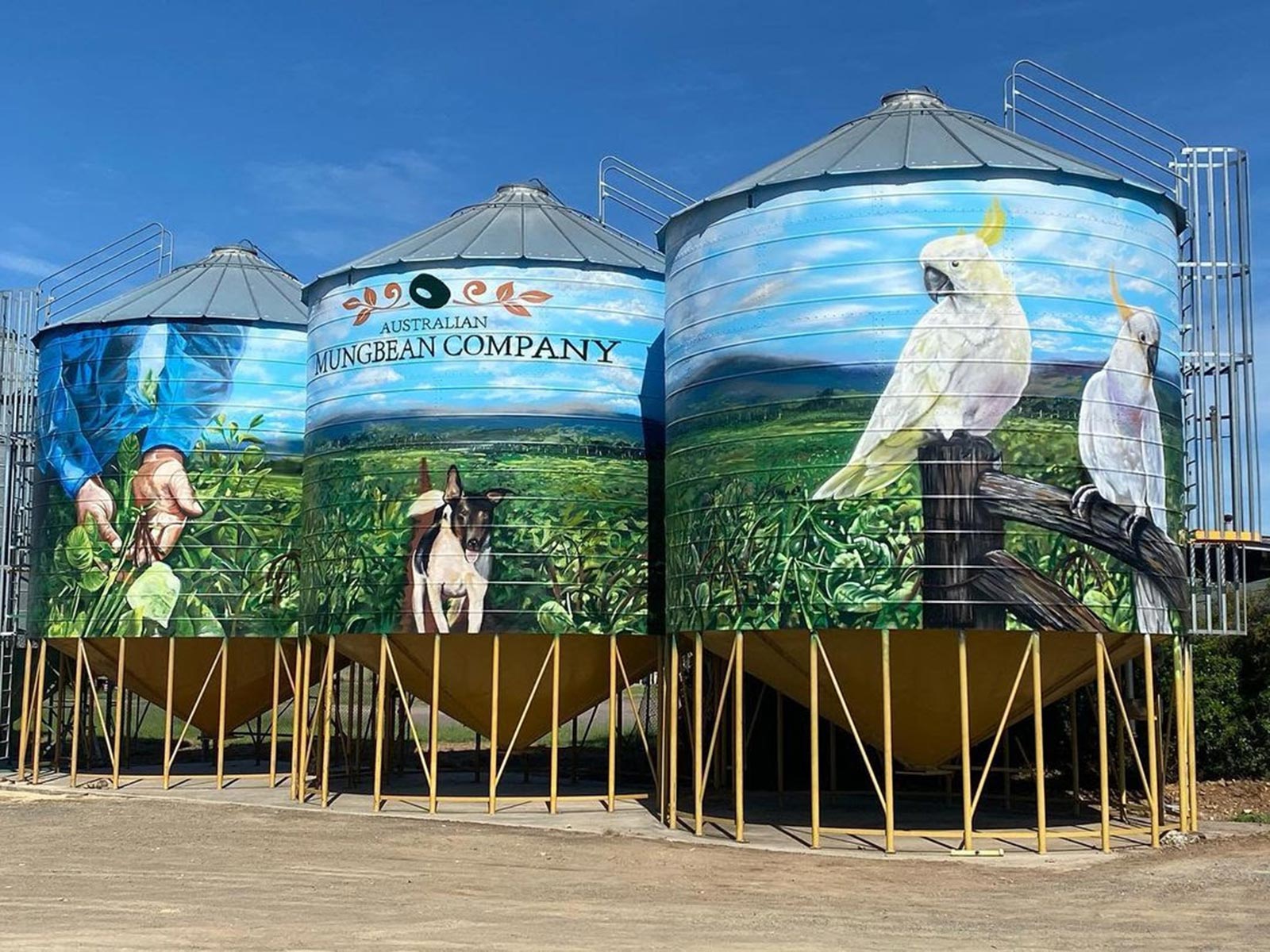 The Australian Silo Art Trail: The Ultimate Guide - Hema Maps Online Shop
