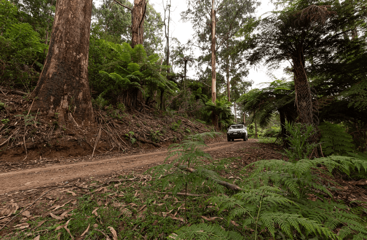 Big Rocks 4wd Tracks Top 5 4WD Tracks Near Melbourne