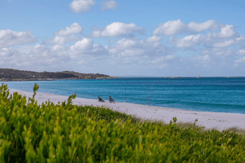 Top Five Free Camping Spots on the East Tassie Coast - Hema Maps Online Shop