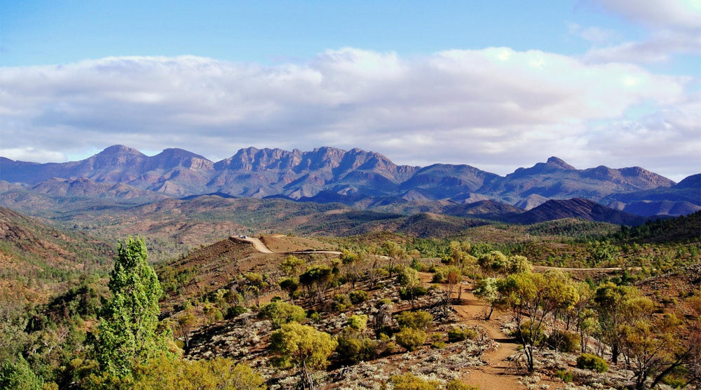 Flinders Ranges