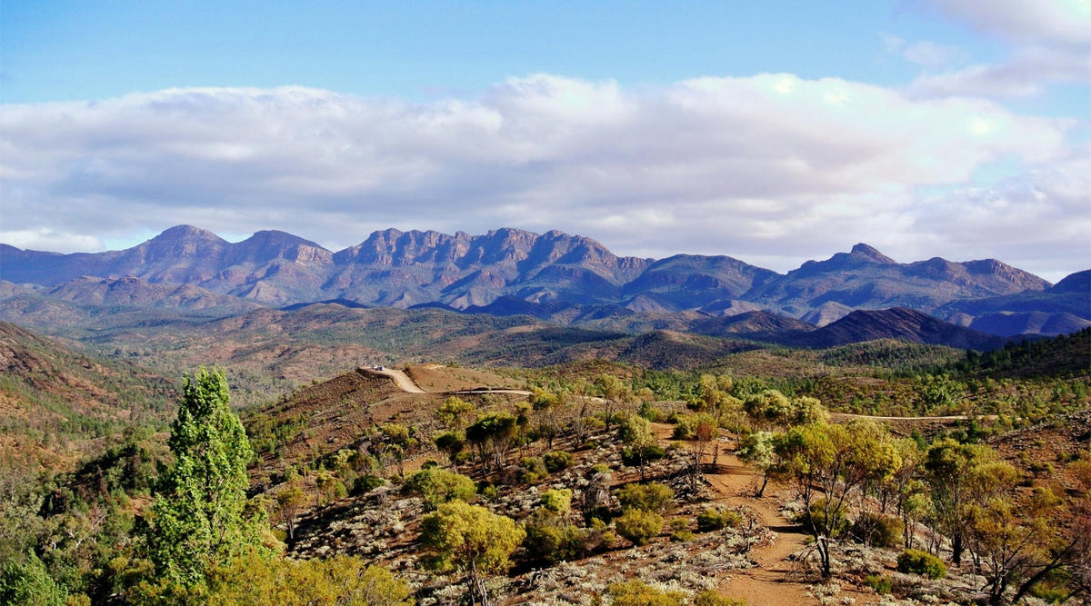 Flinders Ranges