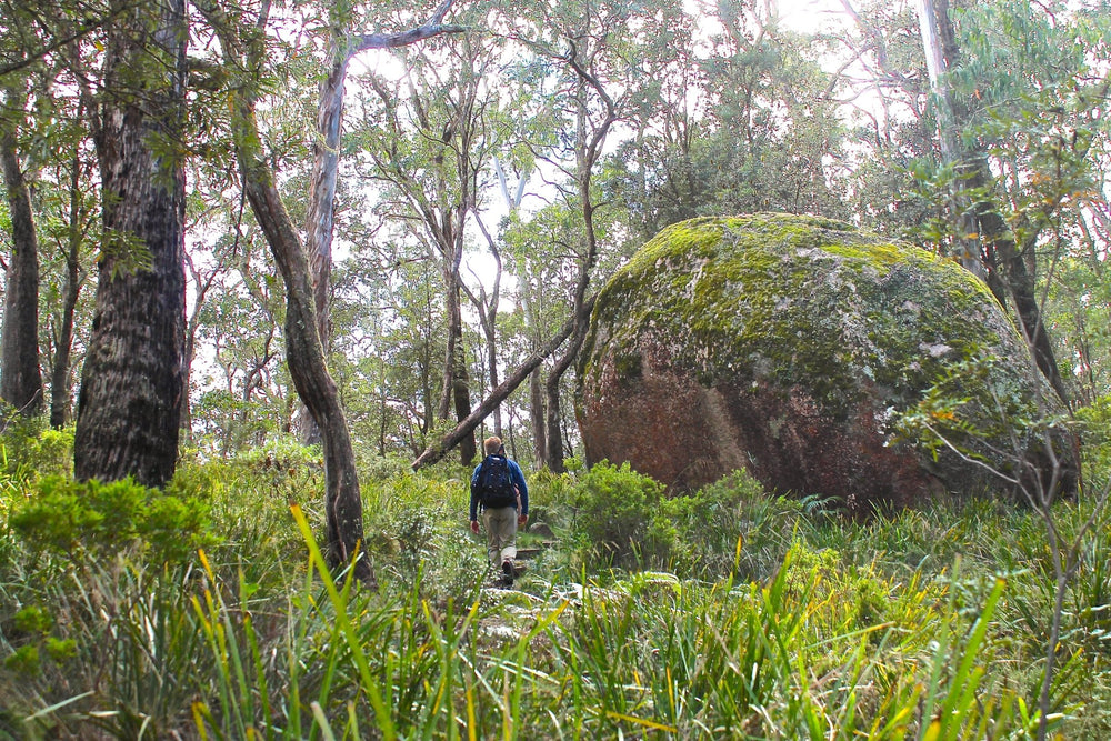 Hiking & Bushwalking Maps
