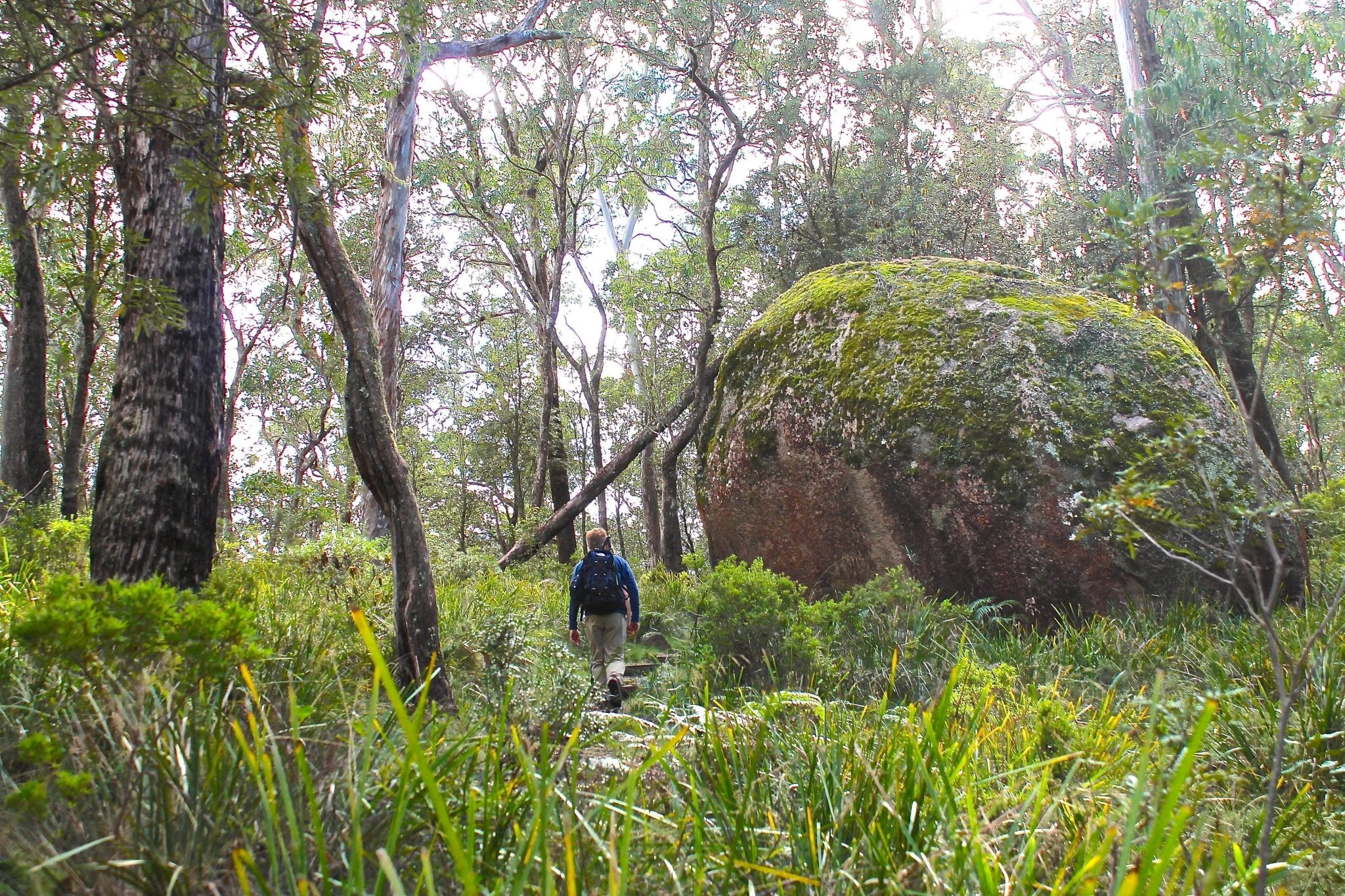 Hiking & Bushwalking Maps - Hema Maps Online Shop