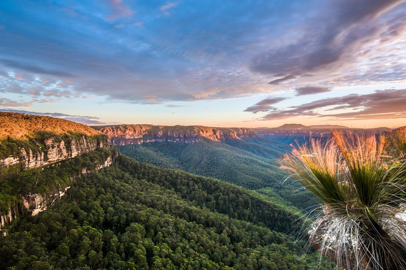 New South Wales Maps, Atlases and Guides - Hema Maps Online Shop