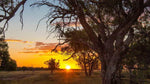 Australian Geographic Travel Guide : Outback Queensland