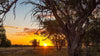 Australian Geographic Travel Guide : Outback Queensland